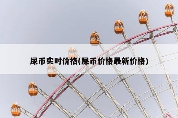 屎币实时价格(屎币价格最新价格)