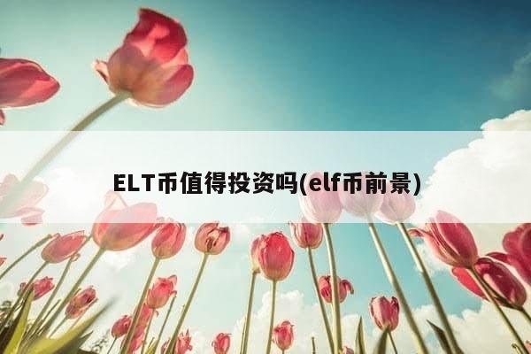 ELT币值得投资吗(elf币前景)