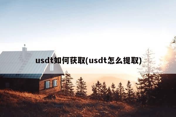 usdt如何获取(usdt怎么提取)