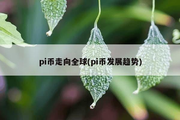 pi币走向全球(pi币发展趋势)