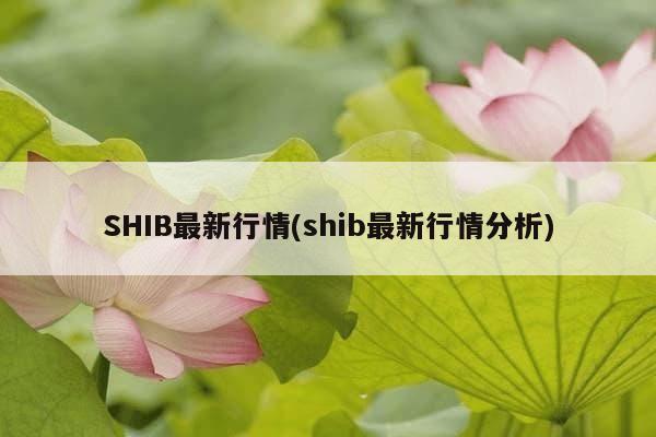 SHIB最新行情(shib最新行情分析)