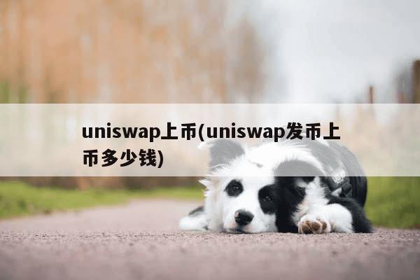 uniswap上币(uniswap发币上币多少钱)