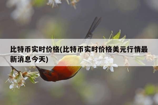 比特币实时价格(比特币实时价格美元行情最新消息今天)