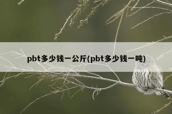 pbt多少钱一公斤(pbt多少钱一吨)