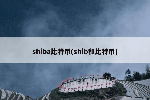 shiba比特币(shib和比特币)