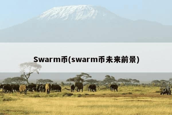 Swarm币(swarm币未来前景)