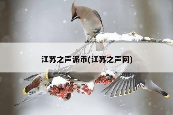 江苏之声派币(江苏之声网)