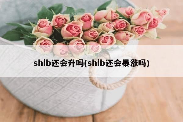 shib还会升吗(shib还会暴涨吗)