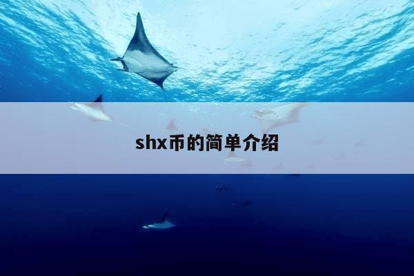 shx币的简单介绍