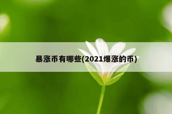 暴涨币有哪些(2021爆涨的币)