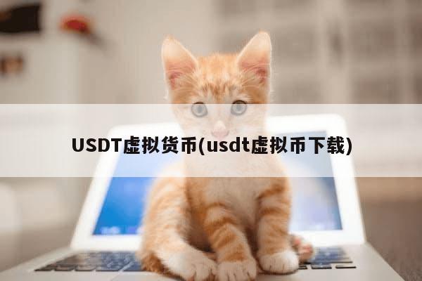 USDT虚拟货币(usdt虚拟币下载)