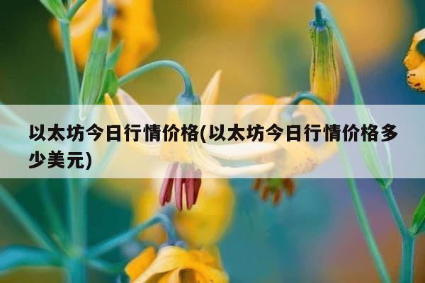 以太坊今日行情价格(以太坊今日行情价格多少美元)