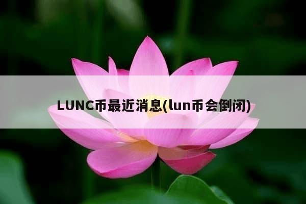 LUNC币最近消息(lun币会倒闭)