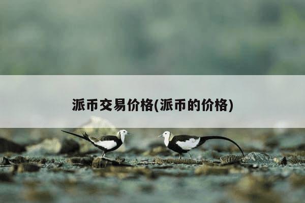 派币交易价格(派币的价格)