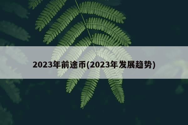 2023年前途币(2023年发展趋势)