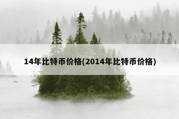 14年比特币价格(2014年比特币价格)