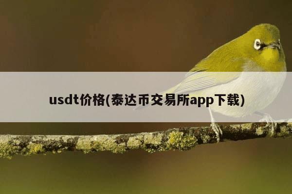 usdt价格(泰达币交易所app下载)