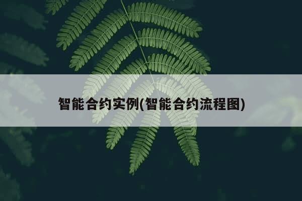 智能合约实例(智能合约流程图)