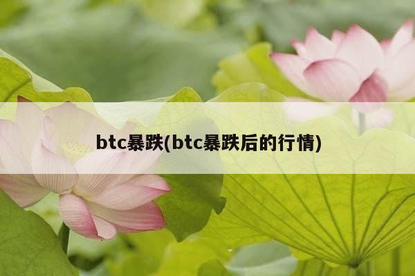 btc暴跌(btc暴跌后的行情)