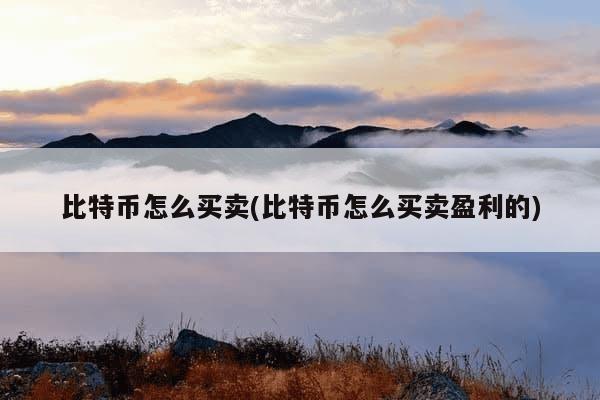 比特币怎么买卖(比特币怎么买卖盈利的)