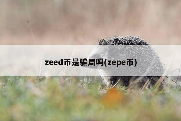 zeed币是骗局吗(zepe币)