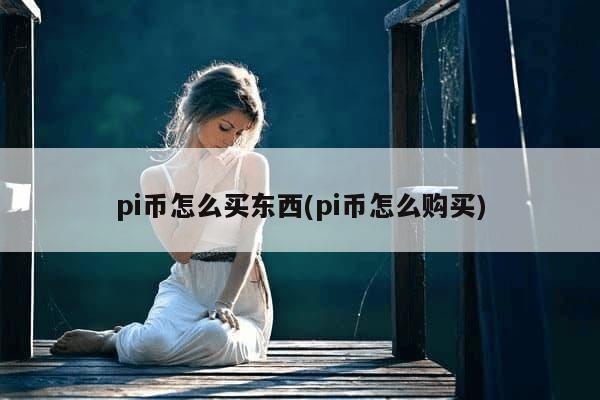 pi币怎么买东西(pi币怎么购买)