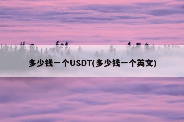 多少钱一个USDT(多少钱一个英文)