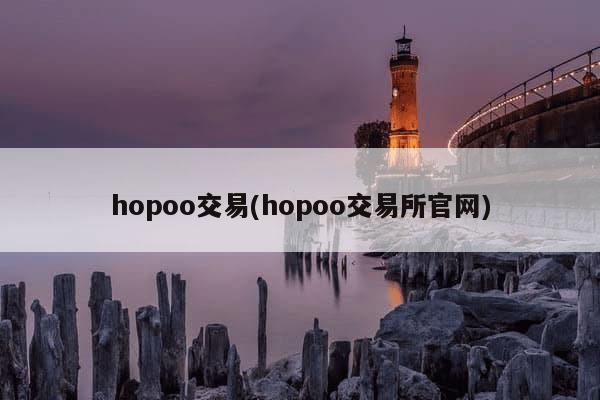 hopoo交易(hopoo交易所官网)