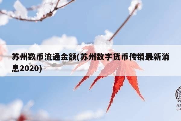 苏州数币流通金额(苏州数字货币传销最新消息2020)