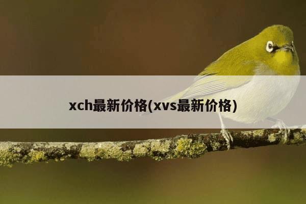 xch最新价格(xvs最新价格)