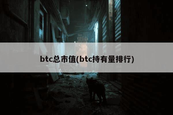 btc总市值(btc持有量排行)