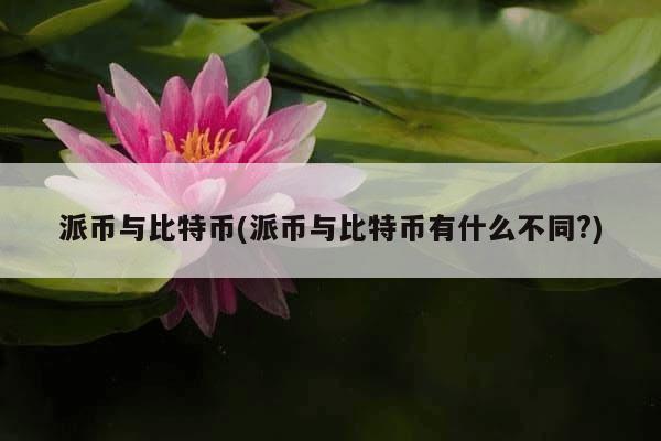 派币与比特币(派币与比特币有什么不同?)