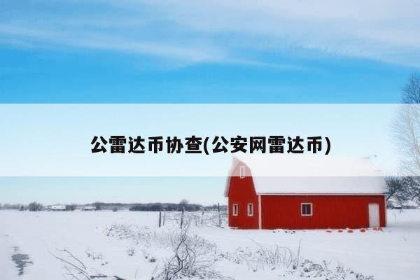 公雷达币协查(公安网雷达币)