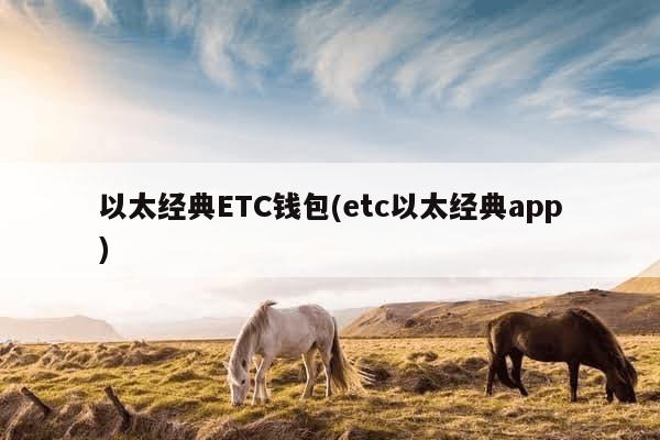 以太经典ETC钱包(etc以太经典app)