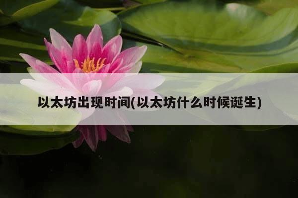 以太坊出现时间(以太坊什么时候诞生)