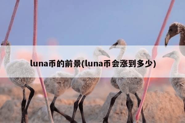 luna币的前景(luna币会涨到多少)