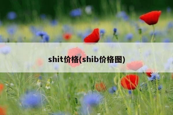 shit价格(shib价格图)