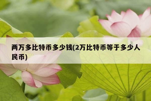 两万多比特币多少钱(2万比特币等于多少人民币)